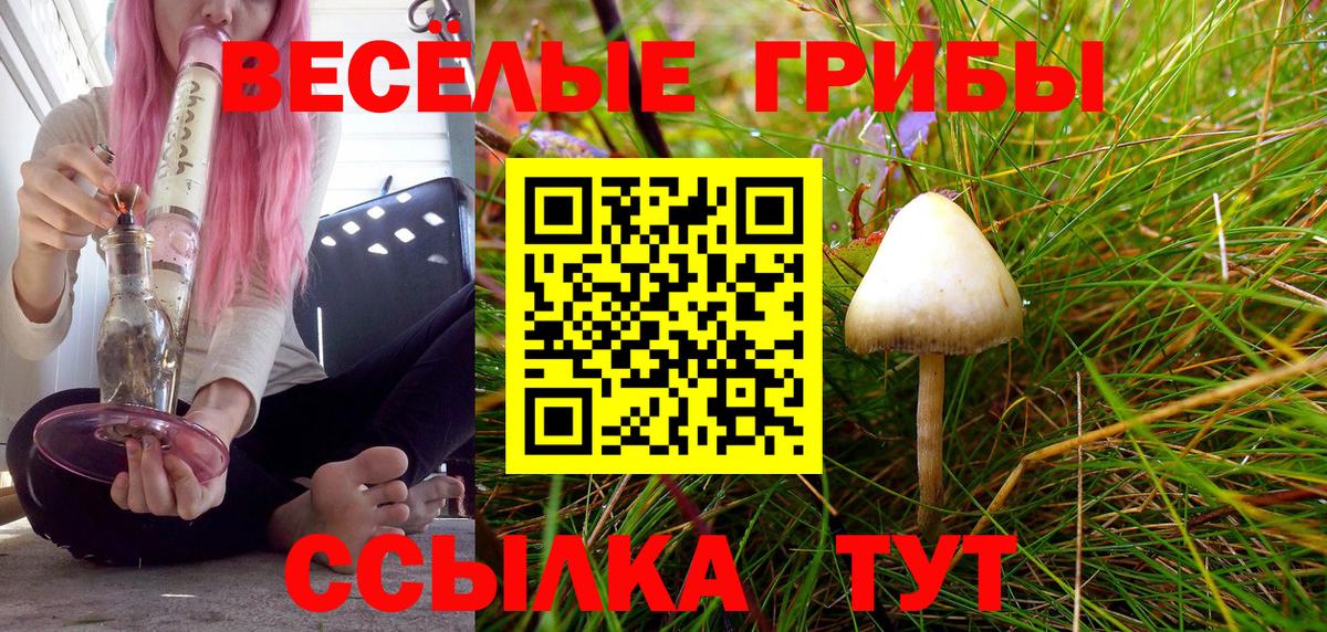 где купить наркоту  Вход с VPN  Рязань  Галлюциногенные грибы Cubensis 